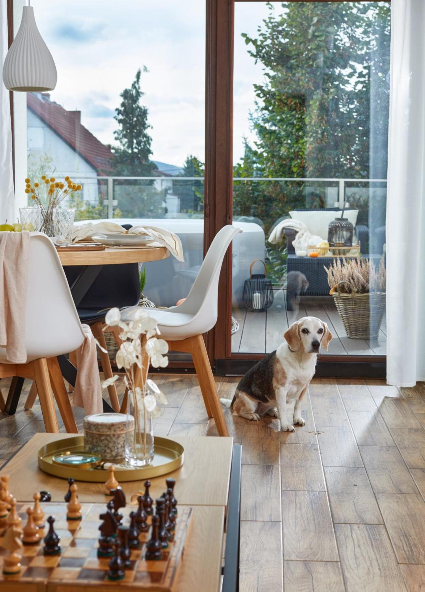 Oh Deer! Apartment Jelenia Gora Ngoại thất bức ảnh